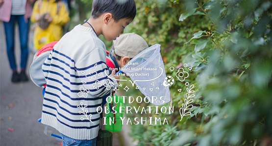 Learn from Mushi Mushi Hakase (Doctor of Bugs) in outdoor observation in Yashima.