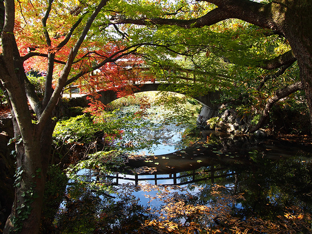 Chi No Ike Pond Ruriho No Ike Travel In Yashima All Yashima Tourist Guide To Takamatsu Kagawa Shikoku And Setouchi In Japan