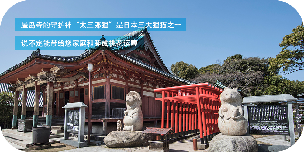 屋岛寺的守护神“太三郎狸”是日本三大狸猫之一 说不定能带给您家庭和睦或桃花运喔