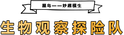 屋岛——妙趣横生 生物观察探险队