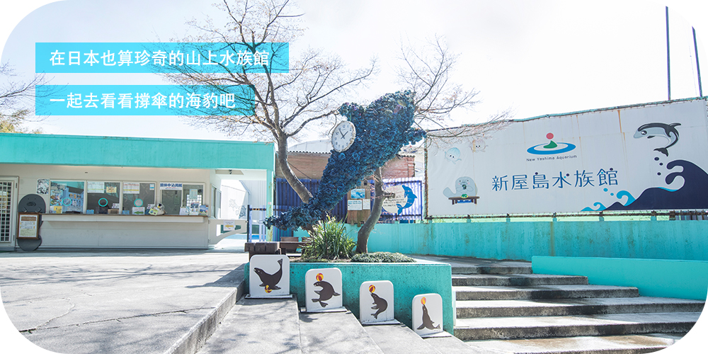 在日本也算珍奇的山上水族館 一起去看看撐傘的海豹吧